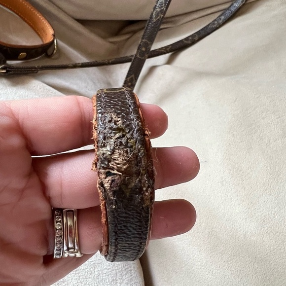 Louis Vuitton dog leash and collar. - Picture 5 of 11